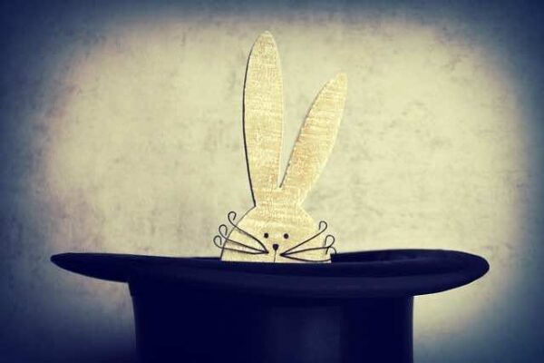 rabbit